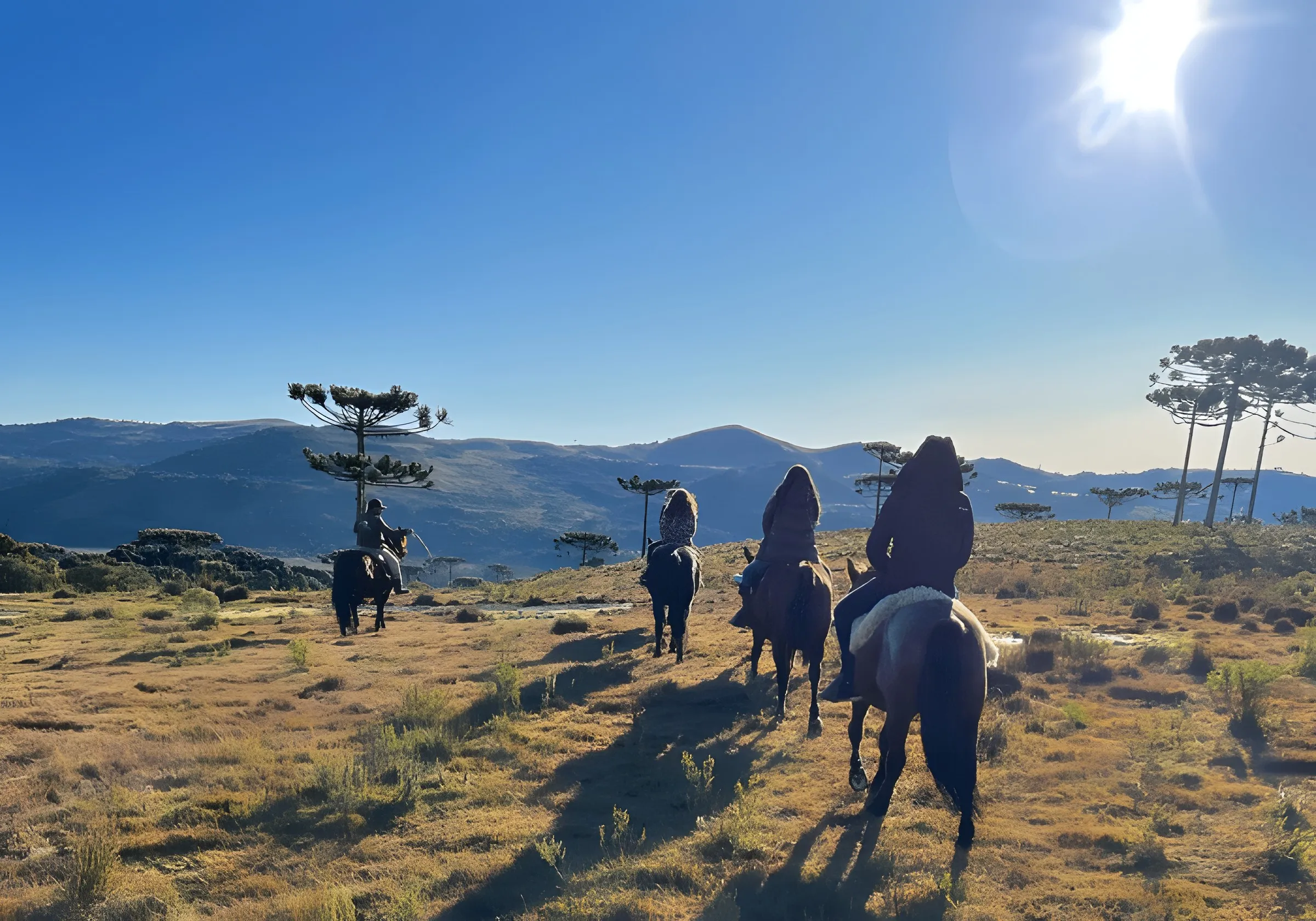 Cavalgada com guia pelos campos da fazenda