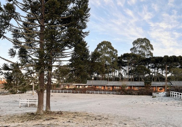 Campo coberto de geada com araucárias e a sede da fazenda ao fundo
